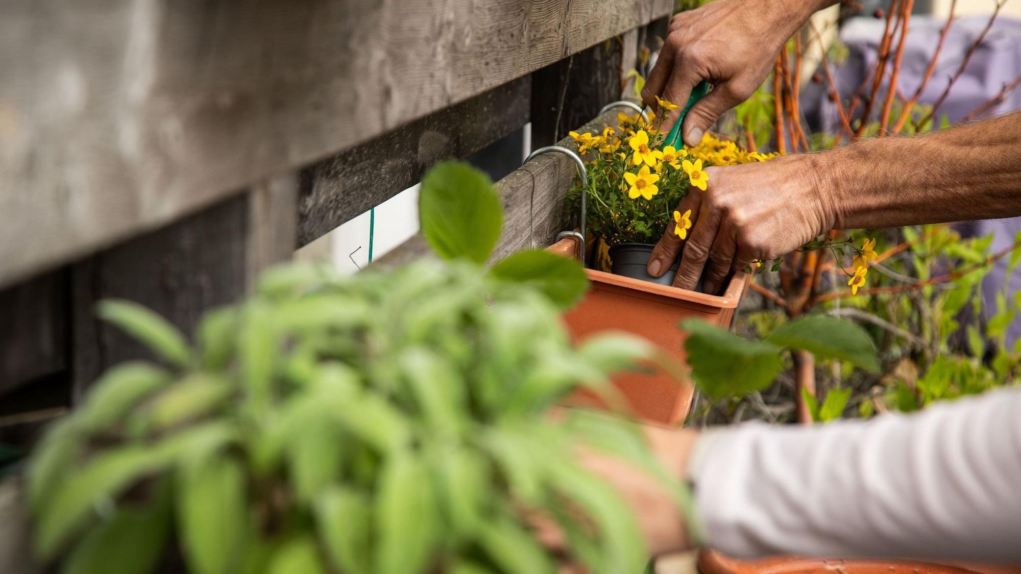 Zwei Personen gärtnern auf einer Terrasse