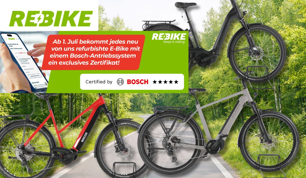 3 E-Bikes mit Bosch Motor vor einem Waldweg.