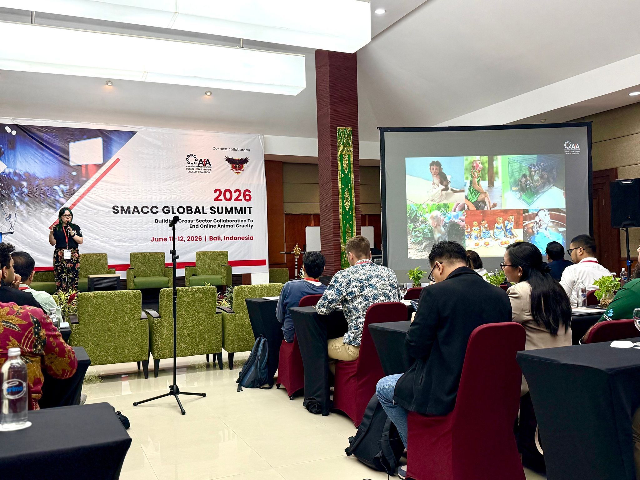 Fachkonferenz auf Bali zum Thema Tierleid in sozialen Medien