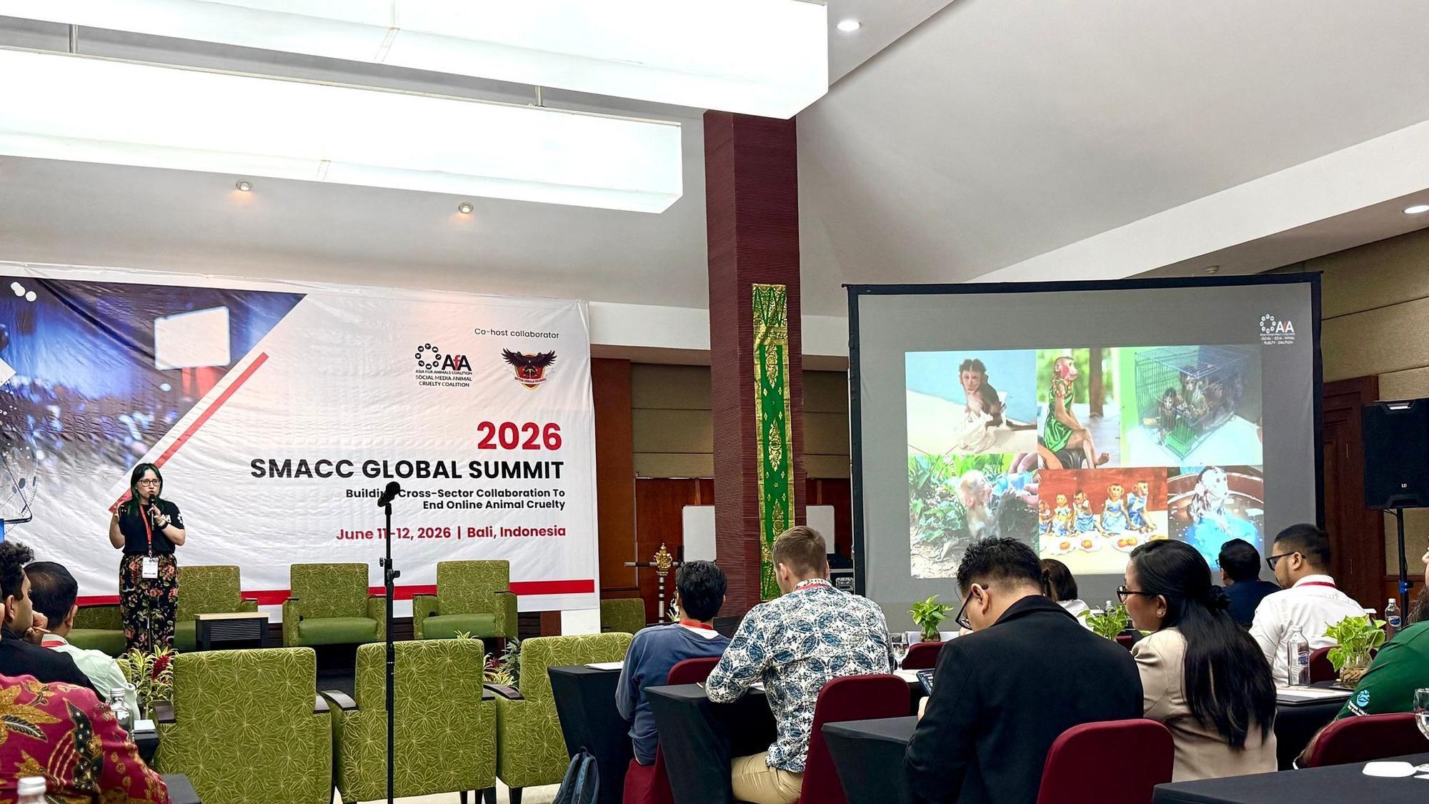 Fachkonferenz auf Bali zum Thema Tierleid in sozialen Medien