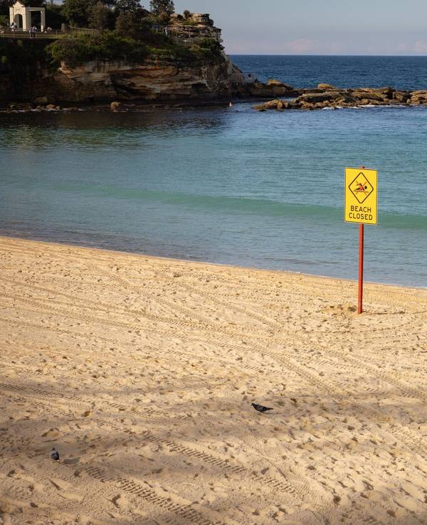 Frau in Sydney bei Hai-Angriff lebensgefährlich verletzt