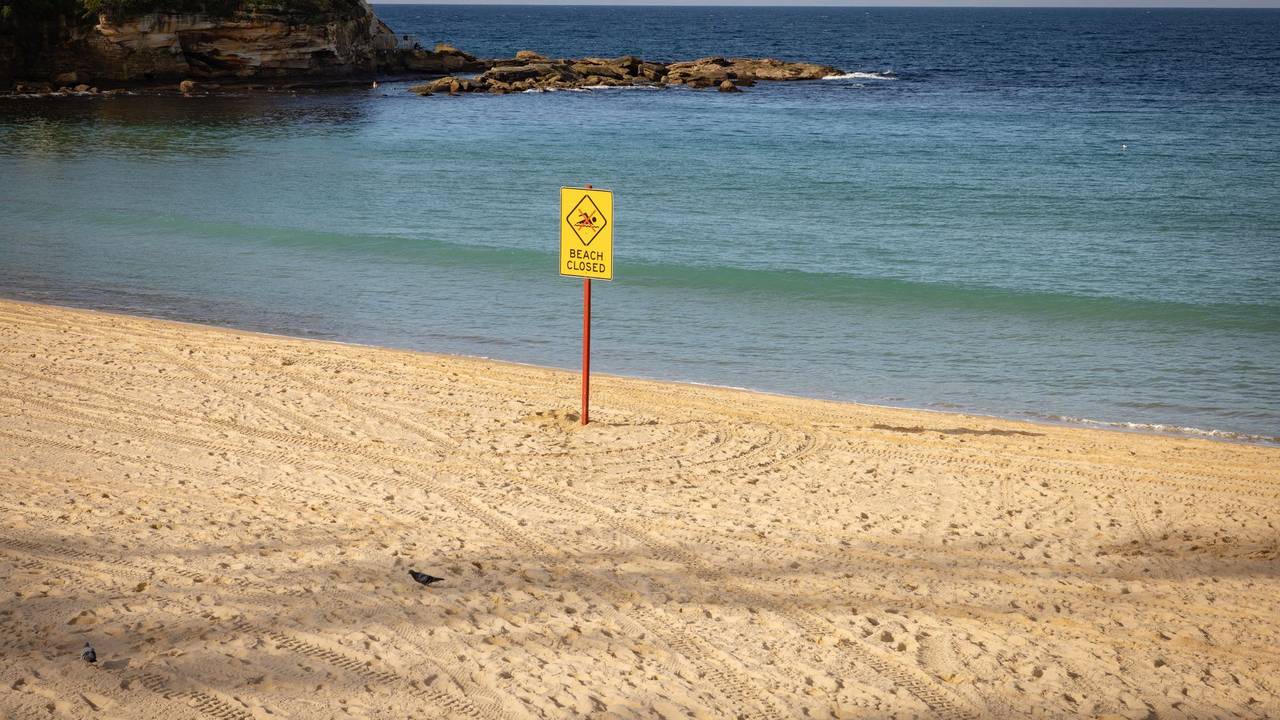 Frau in Sydney bei Hai-Angriff lebensgefährlich verletzt