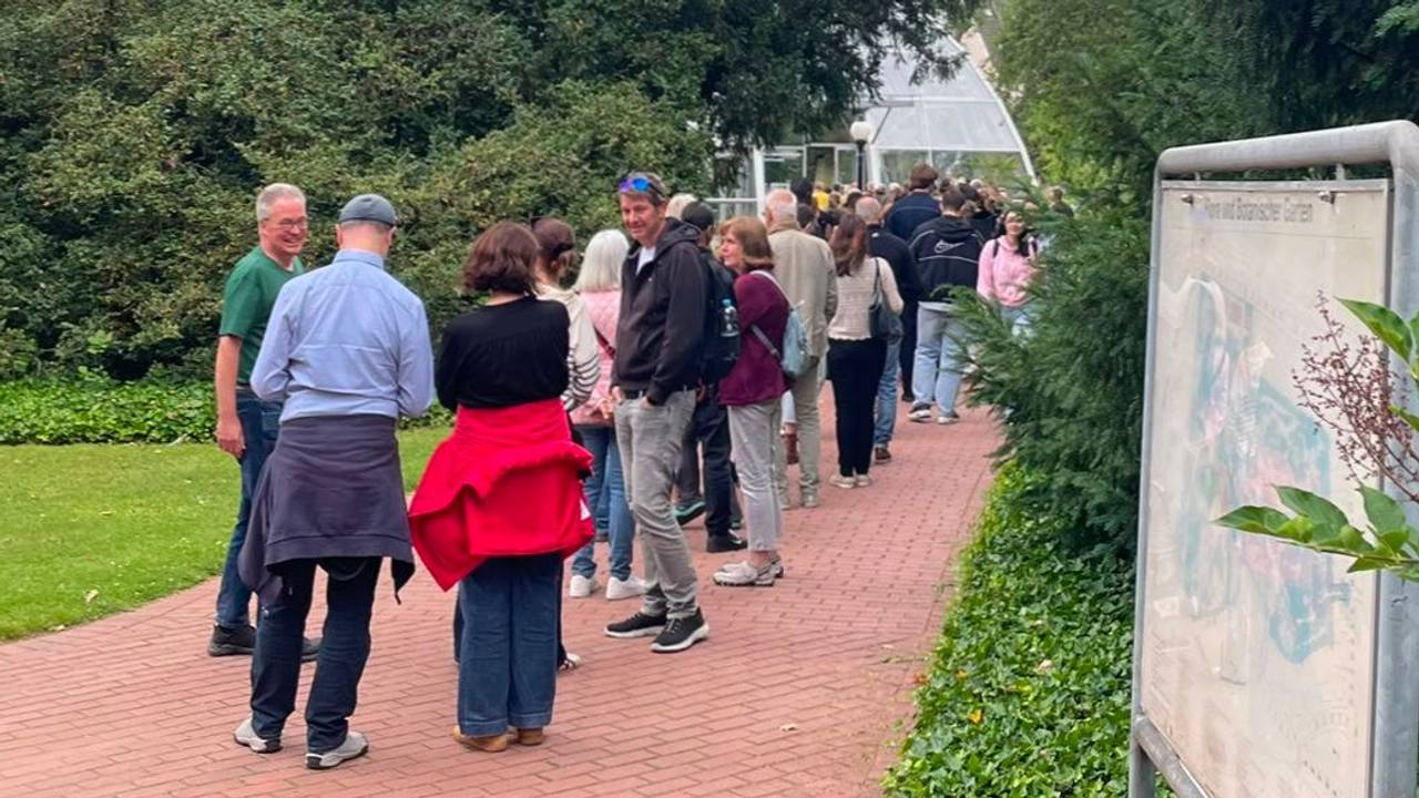 In der Flora gab es am Sonntag (14. Juni) eine Riesenschlange vor den neuen Gewächshäusern.