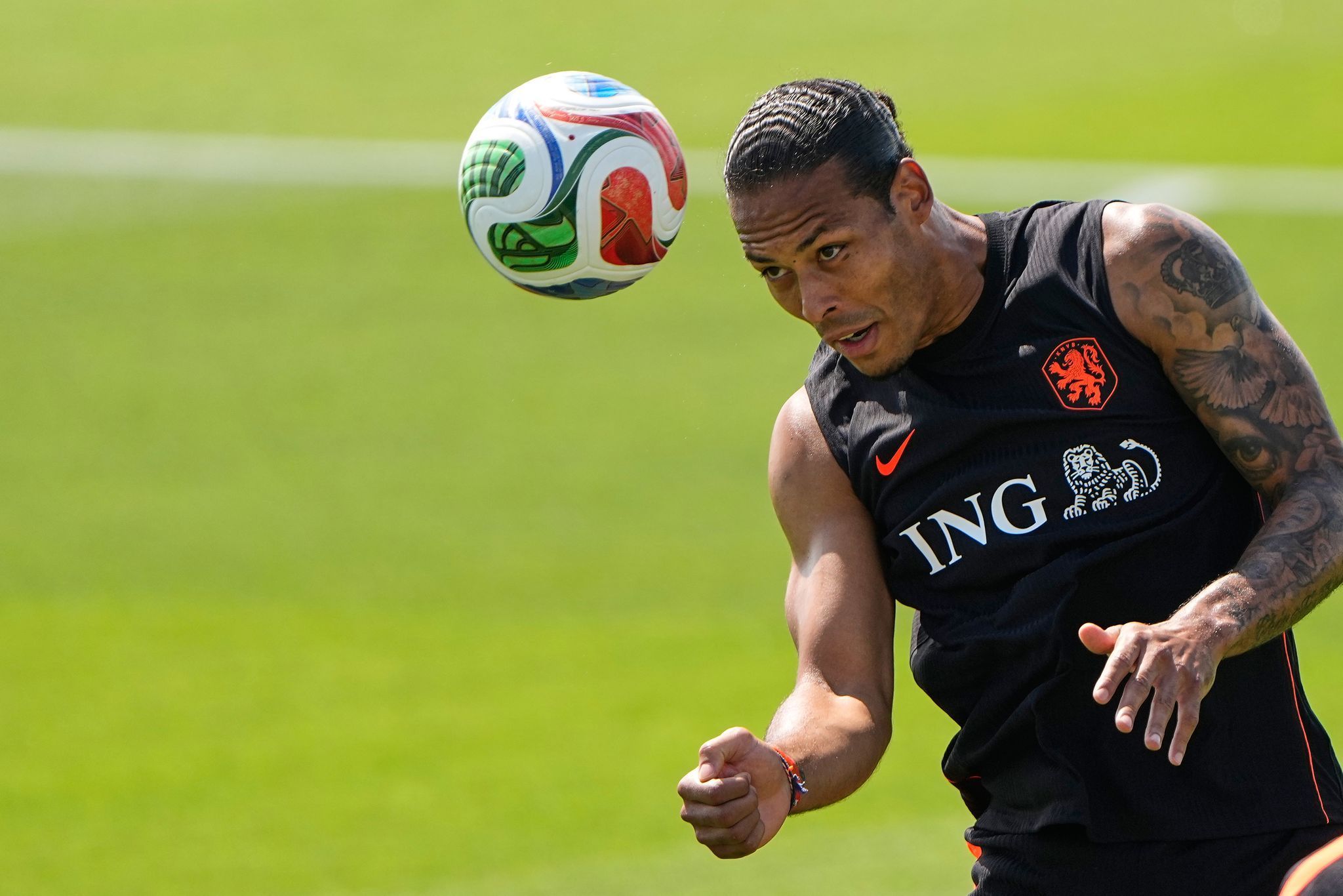 WM 2026 - Niederlande