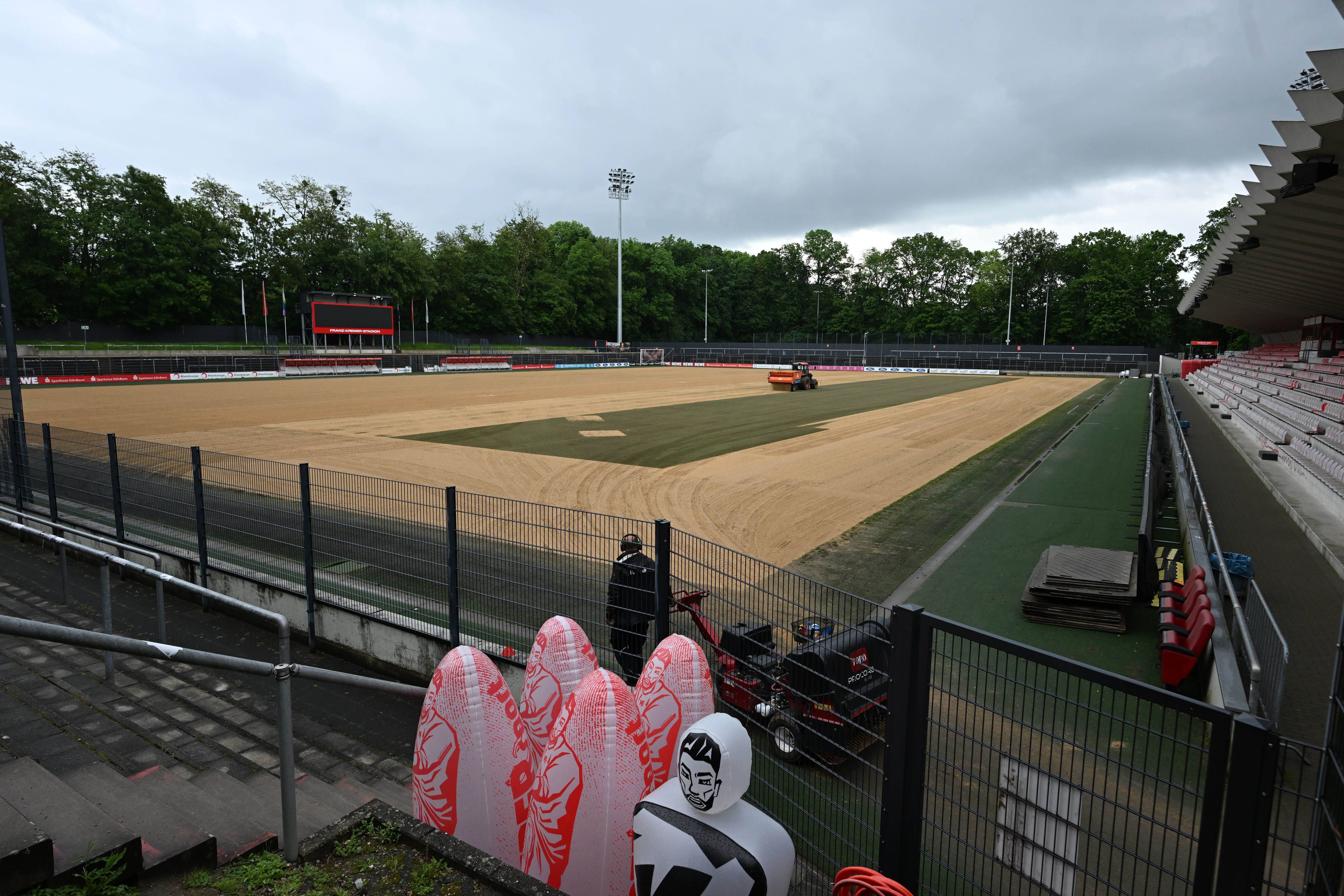 Neuer Rasen im Franz-Kremer-Stadion in Köln