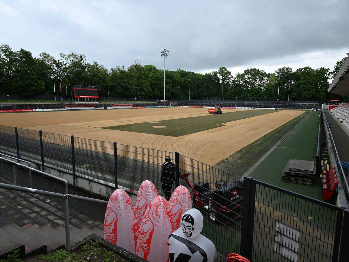 Neuer Rasen im Franz-Kremer-Stadion in Köln