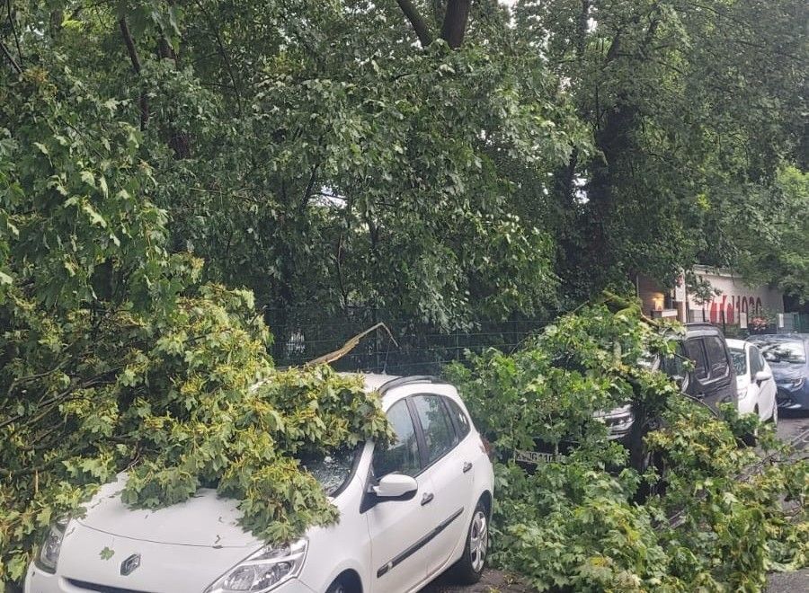 In der Rennbahnstraße in Köln-Weidenpesch krachten Teile eines Baumes auf parkende Autos.