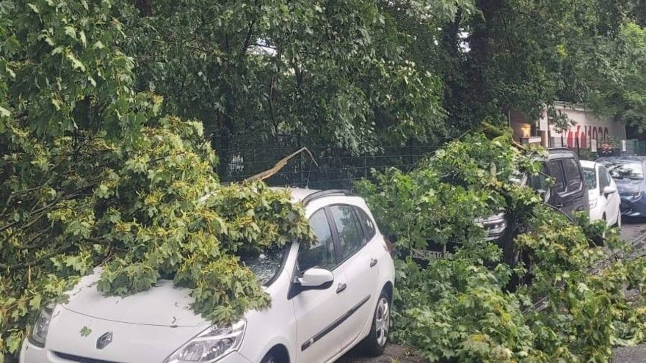 In der Rennbahnstraße in Köln-Weidenpesch krachten Teile eines Baumes auf parkende Autos.