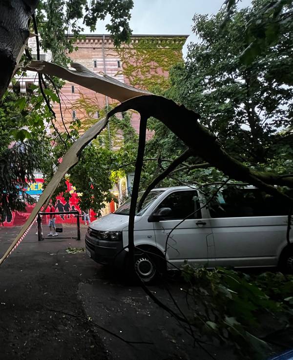 Beim Unwetter in Leverkusen ist ein Baum umgestürzt.