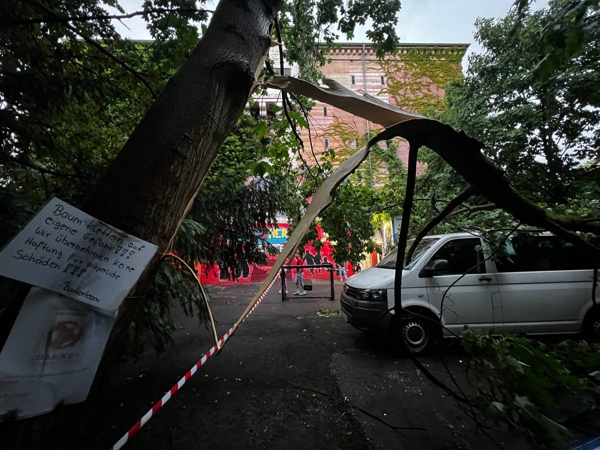 Beim Unwetter in Leverkusen ist ein Baum umgestürzt.