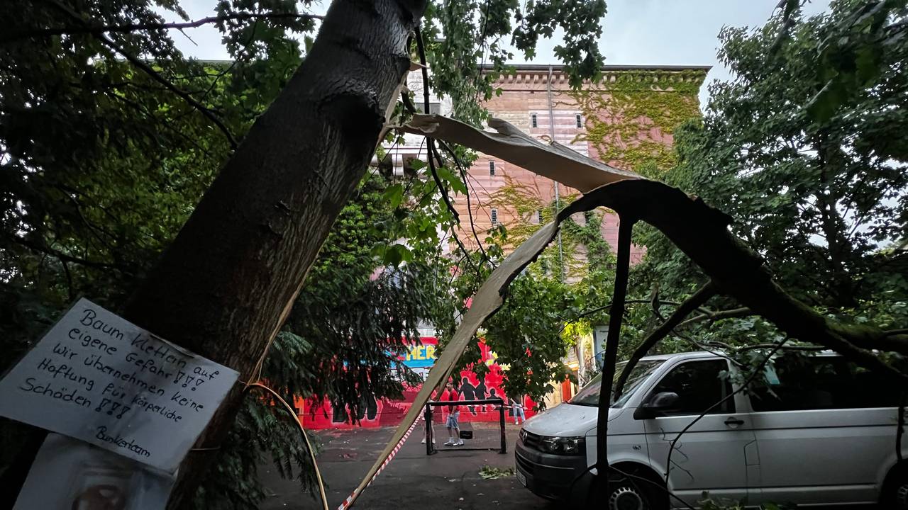 Beim Unwetter in Leverkusen ist ein Baum umgestürzt.