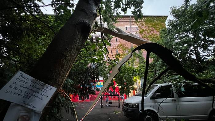 Beim Unwetter in Leverkusen ist ein Baum umgestürzt.
