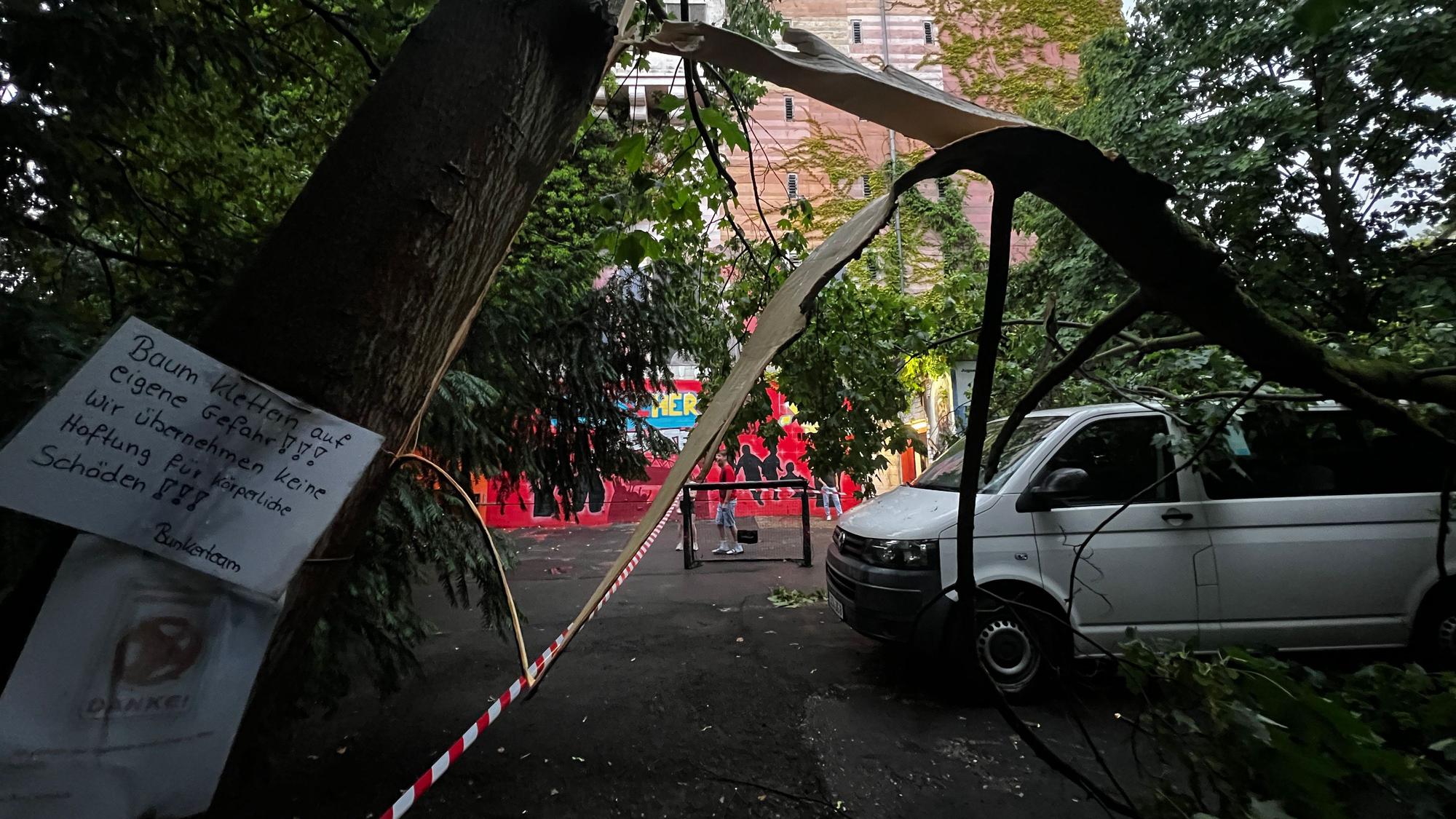 Beim Unwetter in Leverkusen ist ein Baum umgestürzt.