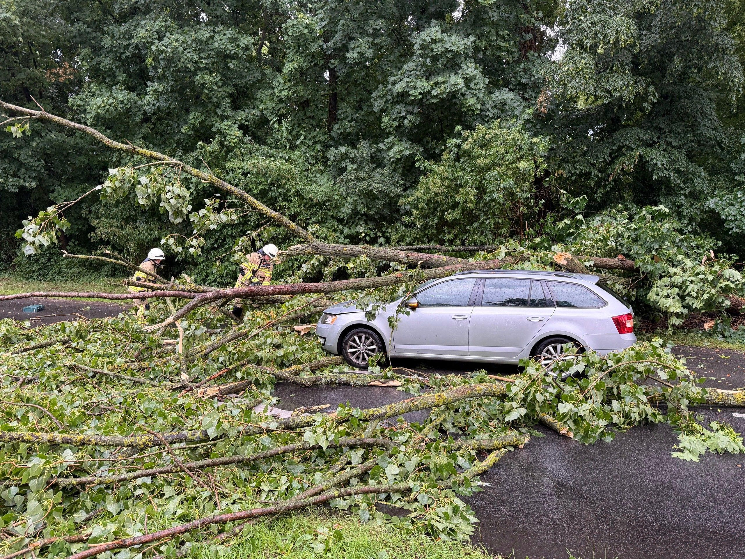 Eine Sturmböe entwurzelte einen Baum auf dem Deutzer Ring.