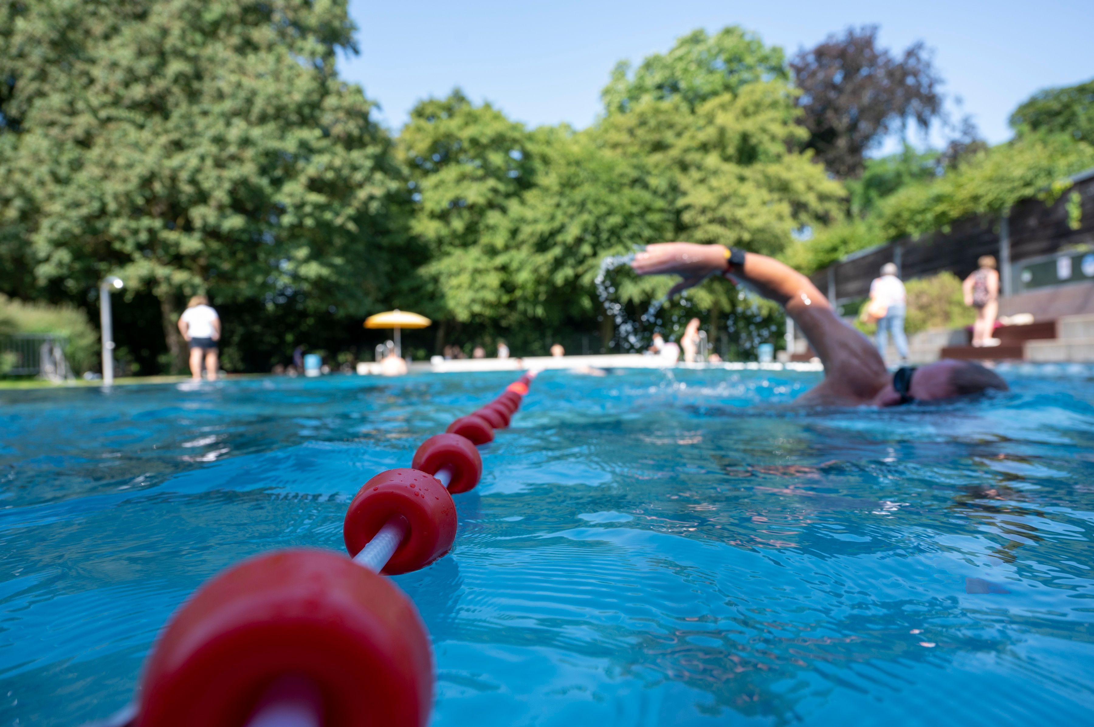Eine Person im Freibad krault durchs Becken.