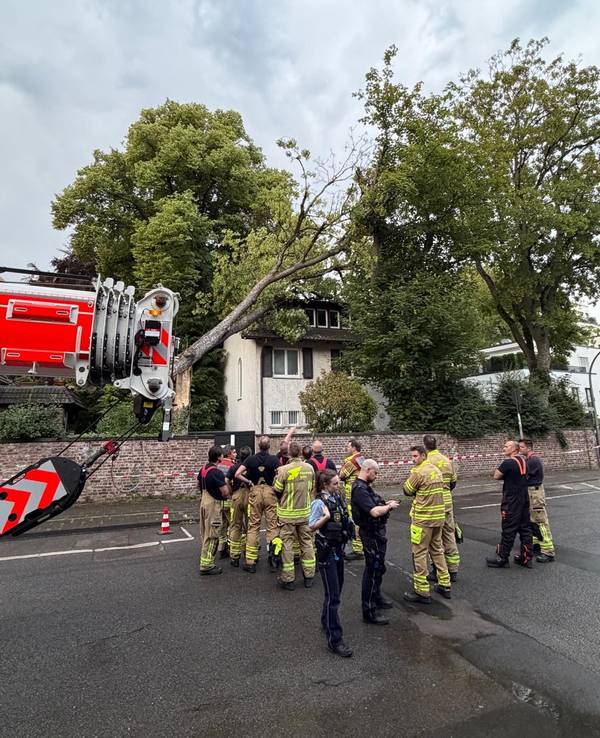 Ein Baum ist auf ein Haus gefallen, Einsatzkräfte von Feuerwehr und Polizei stehen davor