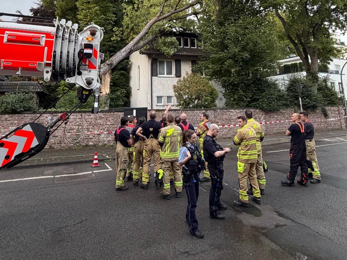 Ein Baum ist auf ein Haus gefallen, Einsatzkräfte von Feuerwehr und Polizei stehen davor