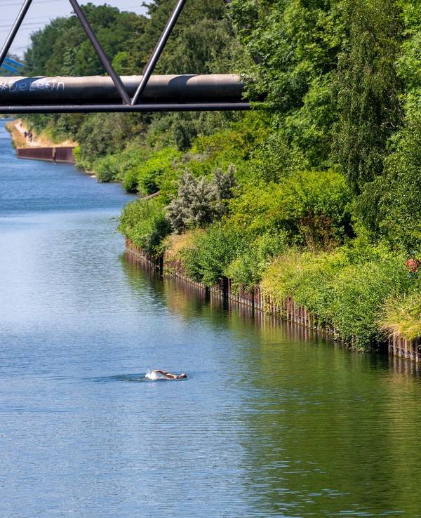 Rhein-Herne-Kanal
