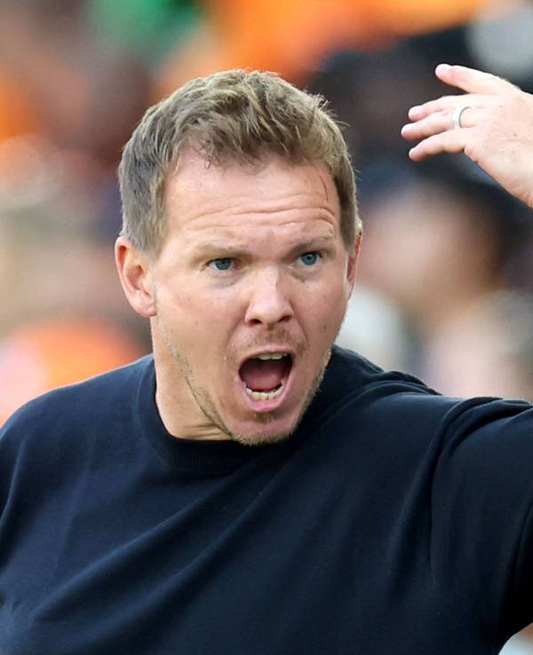 Beim WM-Spiel zwischen Deutschland und der Elfenbeinküste brüllt Julian Nagelsmann.