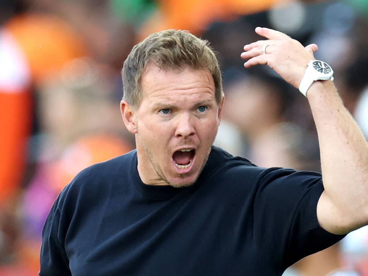 Beim WM-Spiel zwischen Deutschland und der Elfenbeinküste brüllt Julian Nagelsmann.
