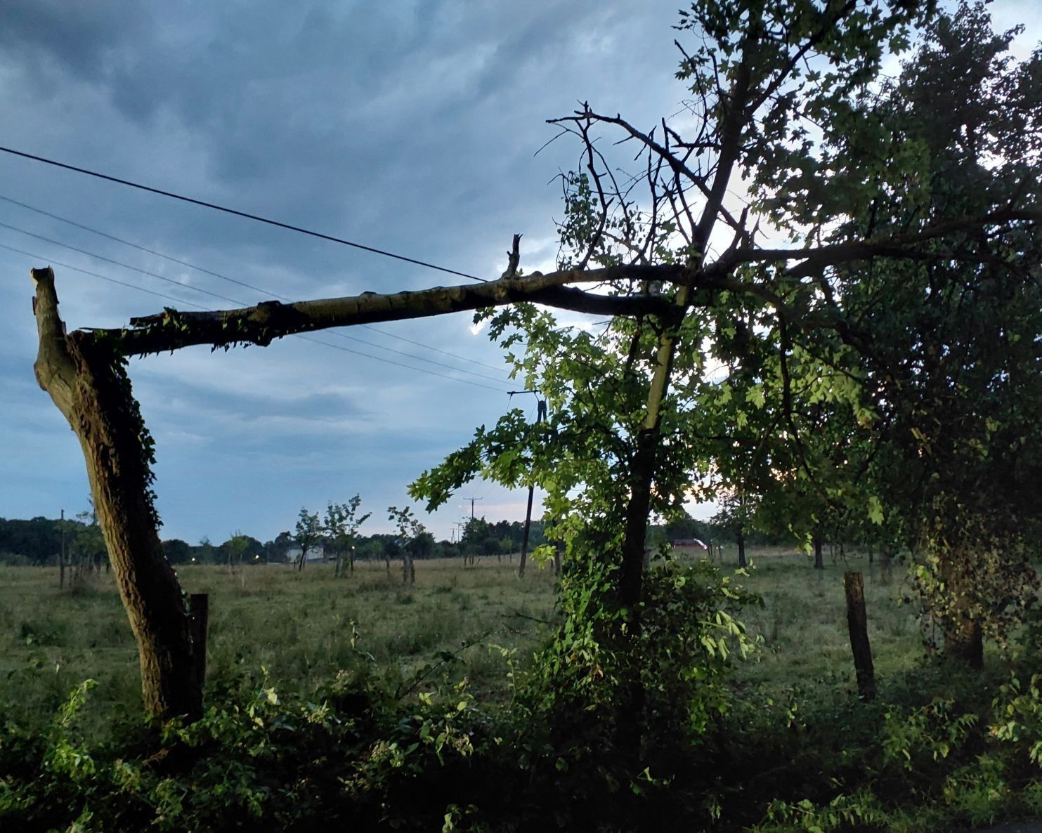 Ein baum Baum liegt auf einer Stromleitung.