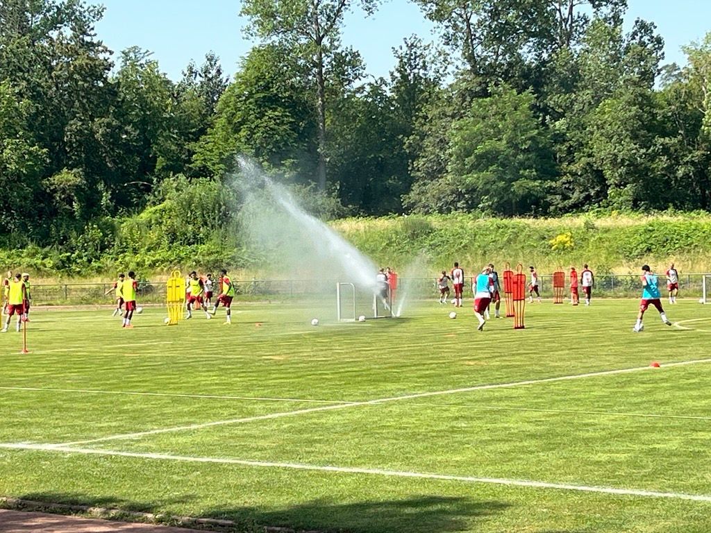 Die U21 des 1. FC Köln trotzt der Hitze und trainiert am Herbertskaul.