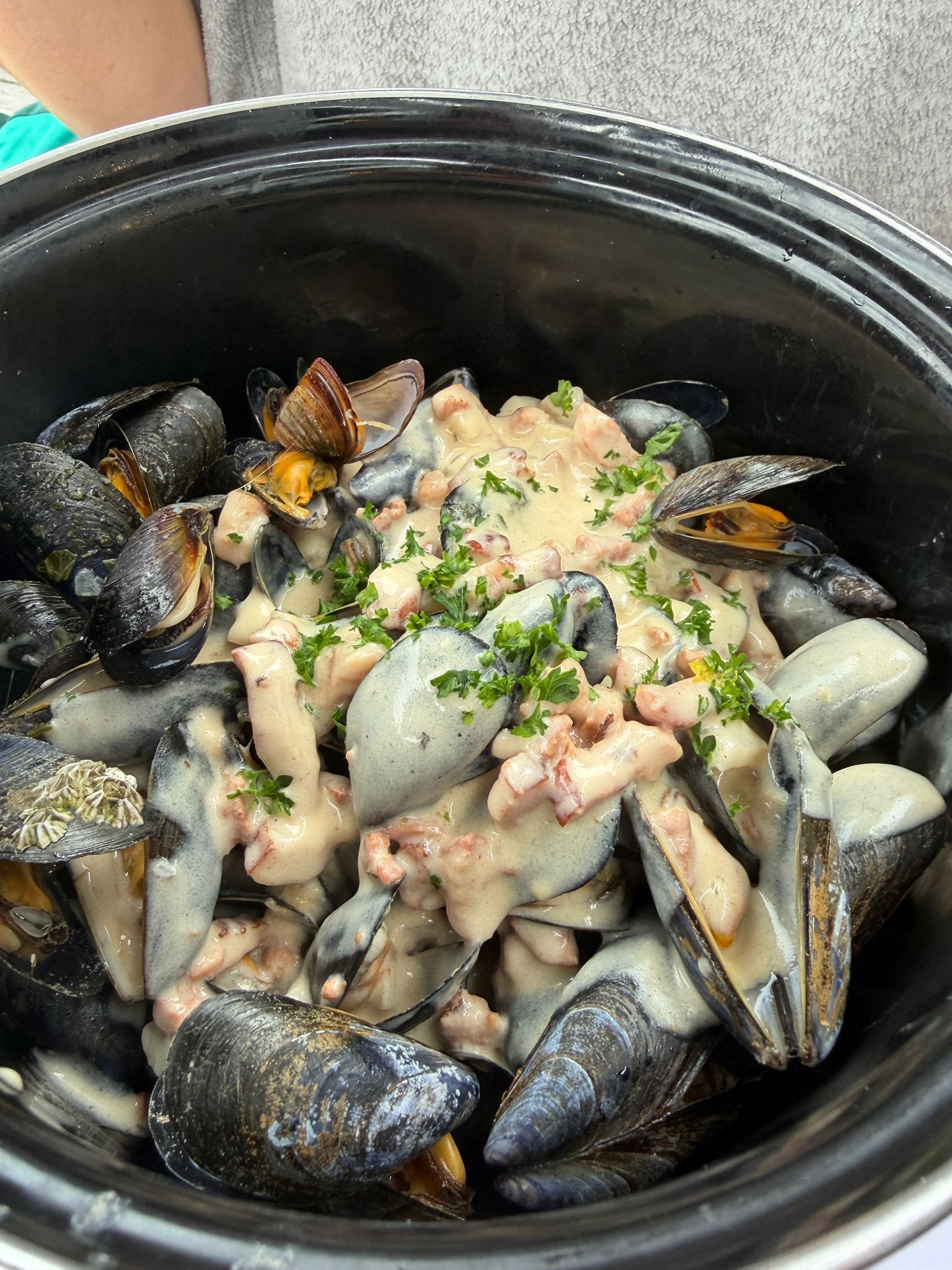Ein Topf mit gekochten Miesmuschelnmund einer cremigen Sauce