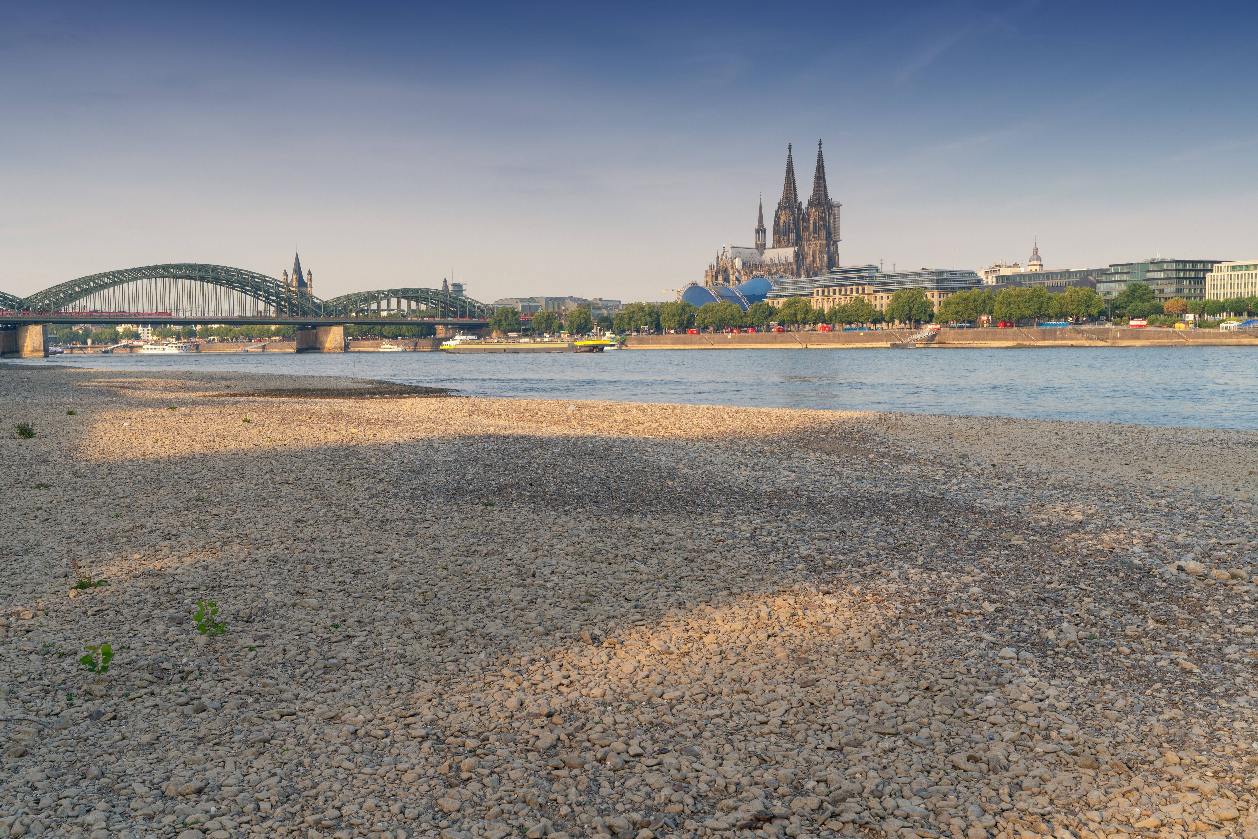 Dürre in Köln – der Rheinpegel ist im Sink-Modus