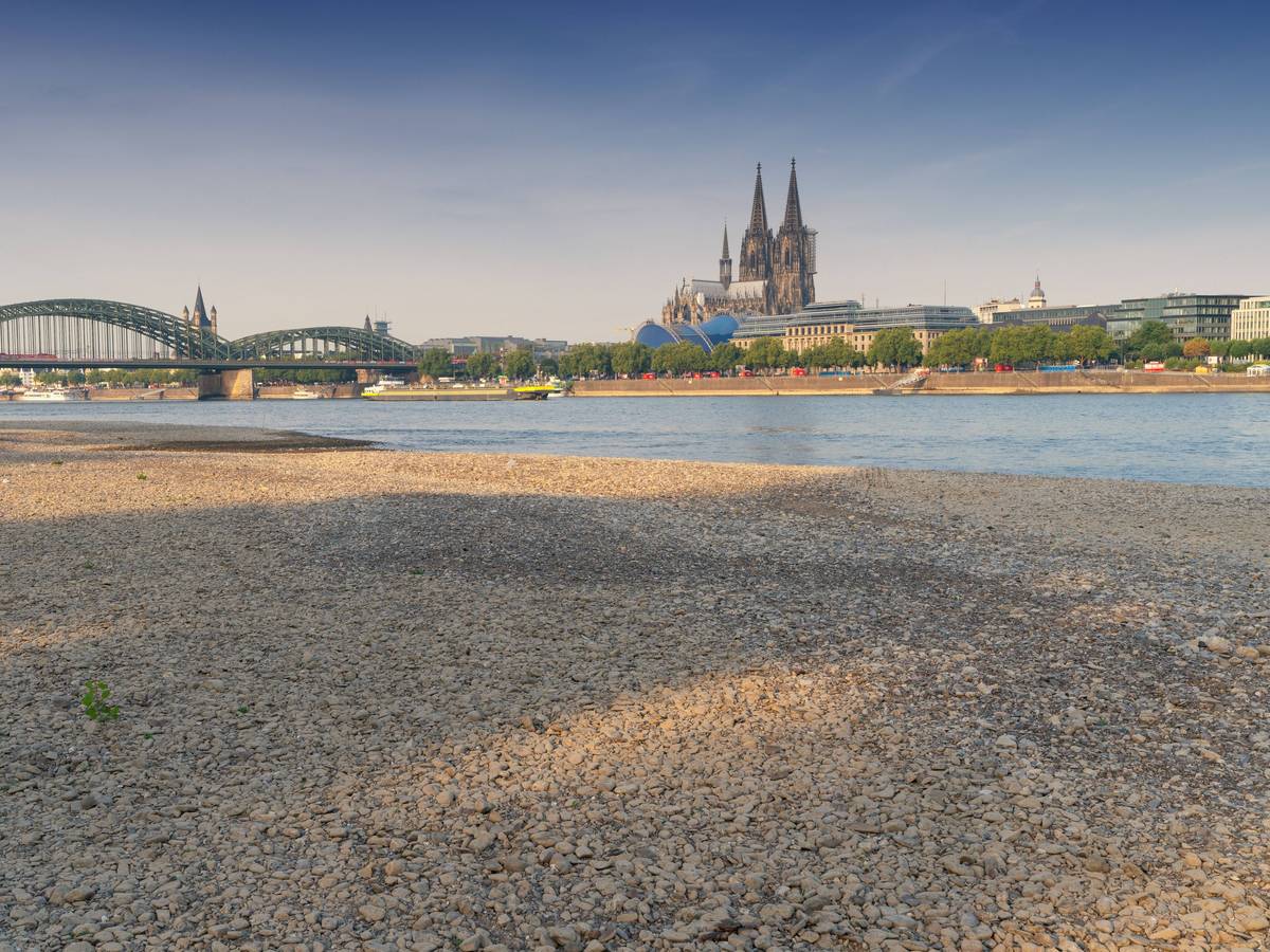 Dürre in Köln – der Rheinpegel ist im Sink-Modus