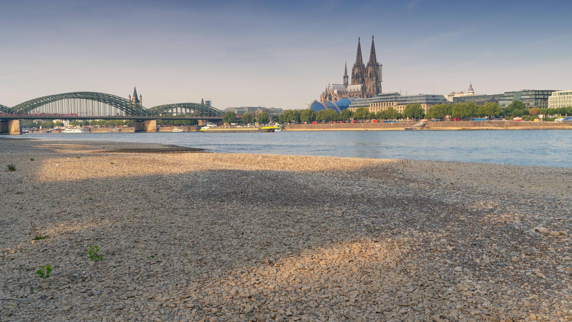 Dürre in Köln – der Rheinpegel ist im Sink-Modus