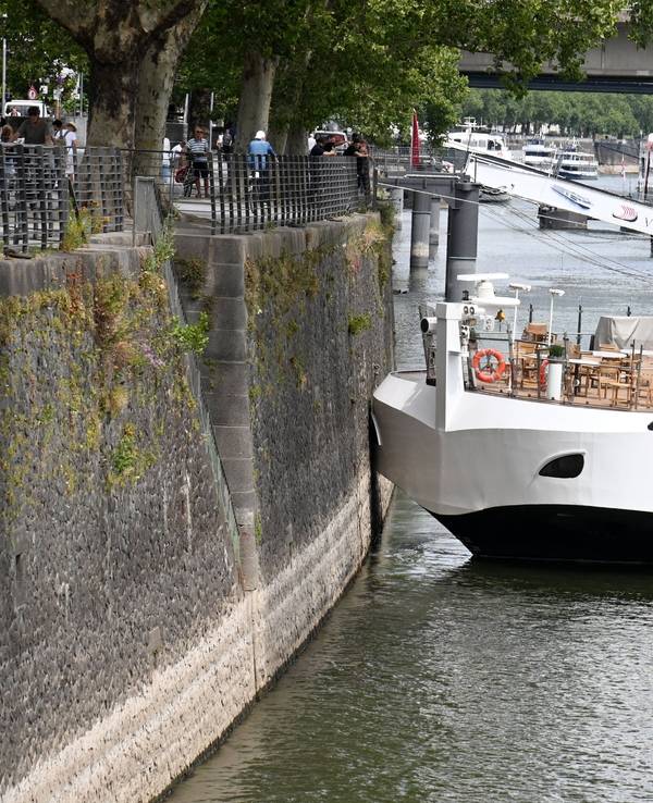 Ein Kreuzfahrtschiff ist am Montag (29. Juni) am linken Rheinufer in Köln auf Grund gelaufen.