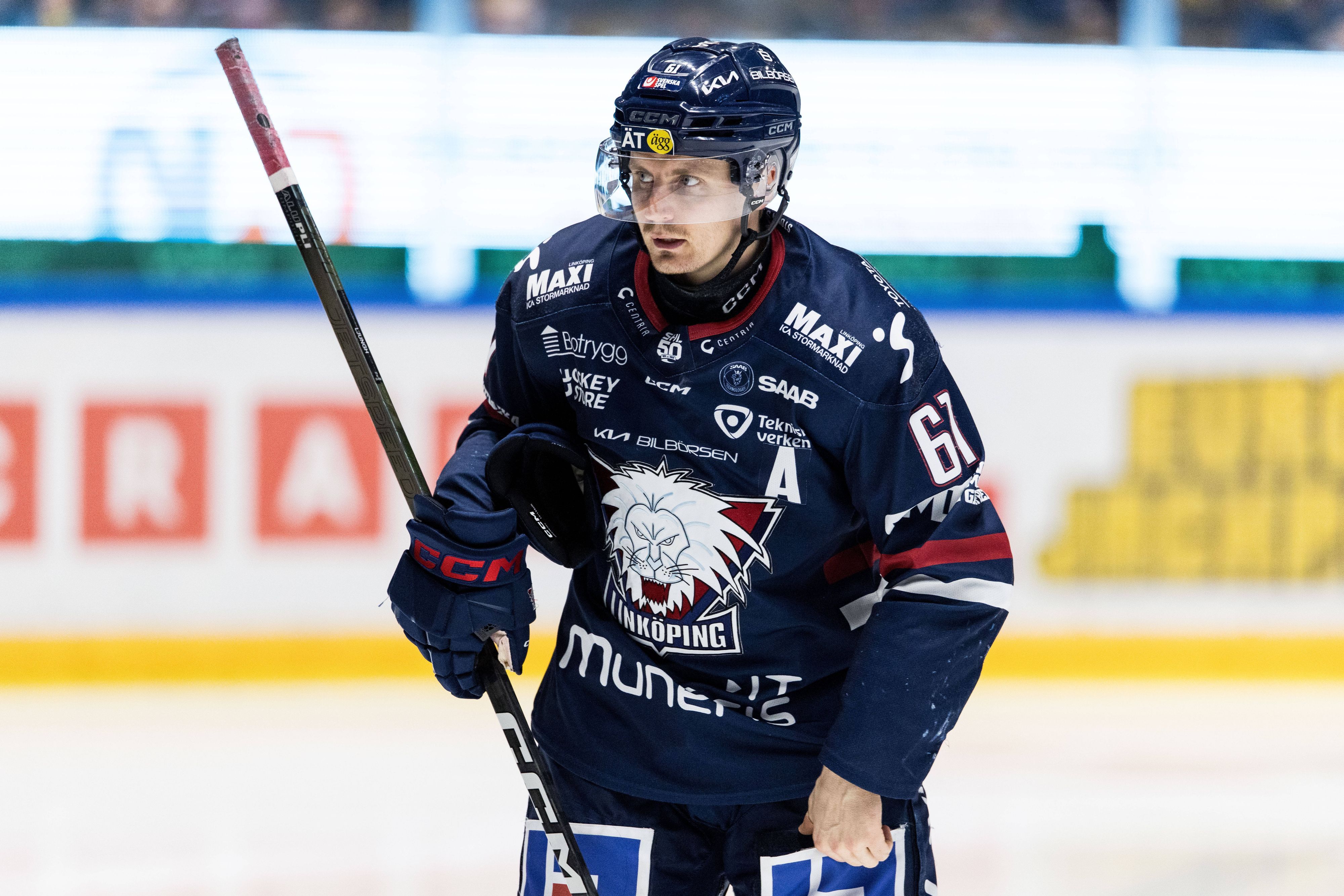 Linköpings Markus Ljungh wechselt zu den Kölner Haien.