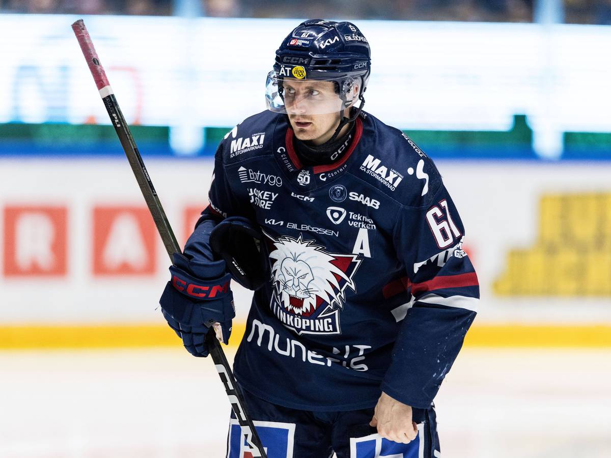 Linköpings Markus Ljungh wechselt zu den Kölner Haien.
