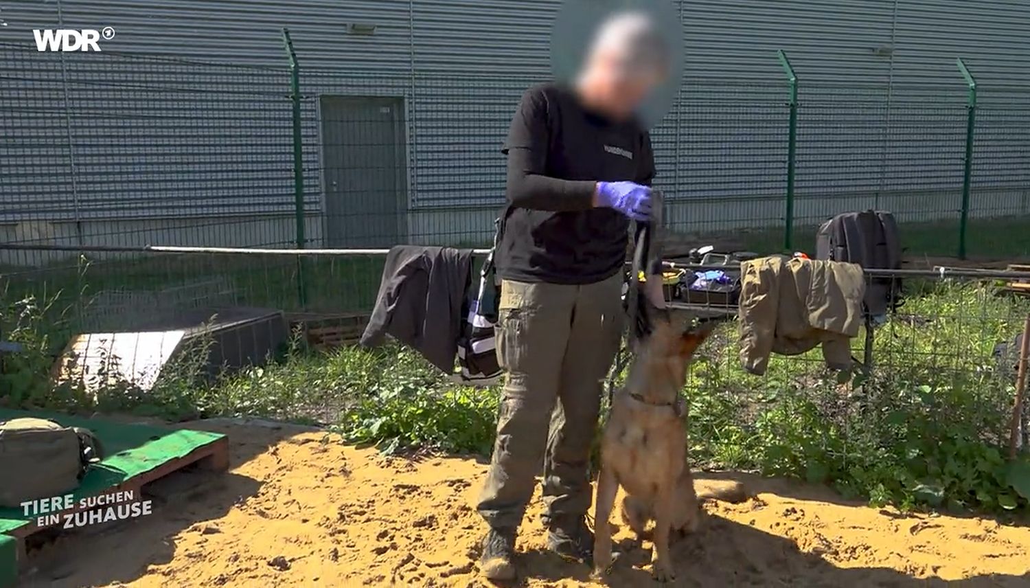 Hundeführerin Desiree und Ted werden im November bei „Tiere suchen ein Zuhause” vorgestellt.