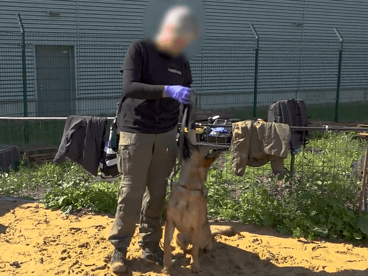 Hundeführerin Desiree und Ted werden im November bei „Tiere suchen ein Zuhause” vorgestellt.