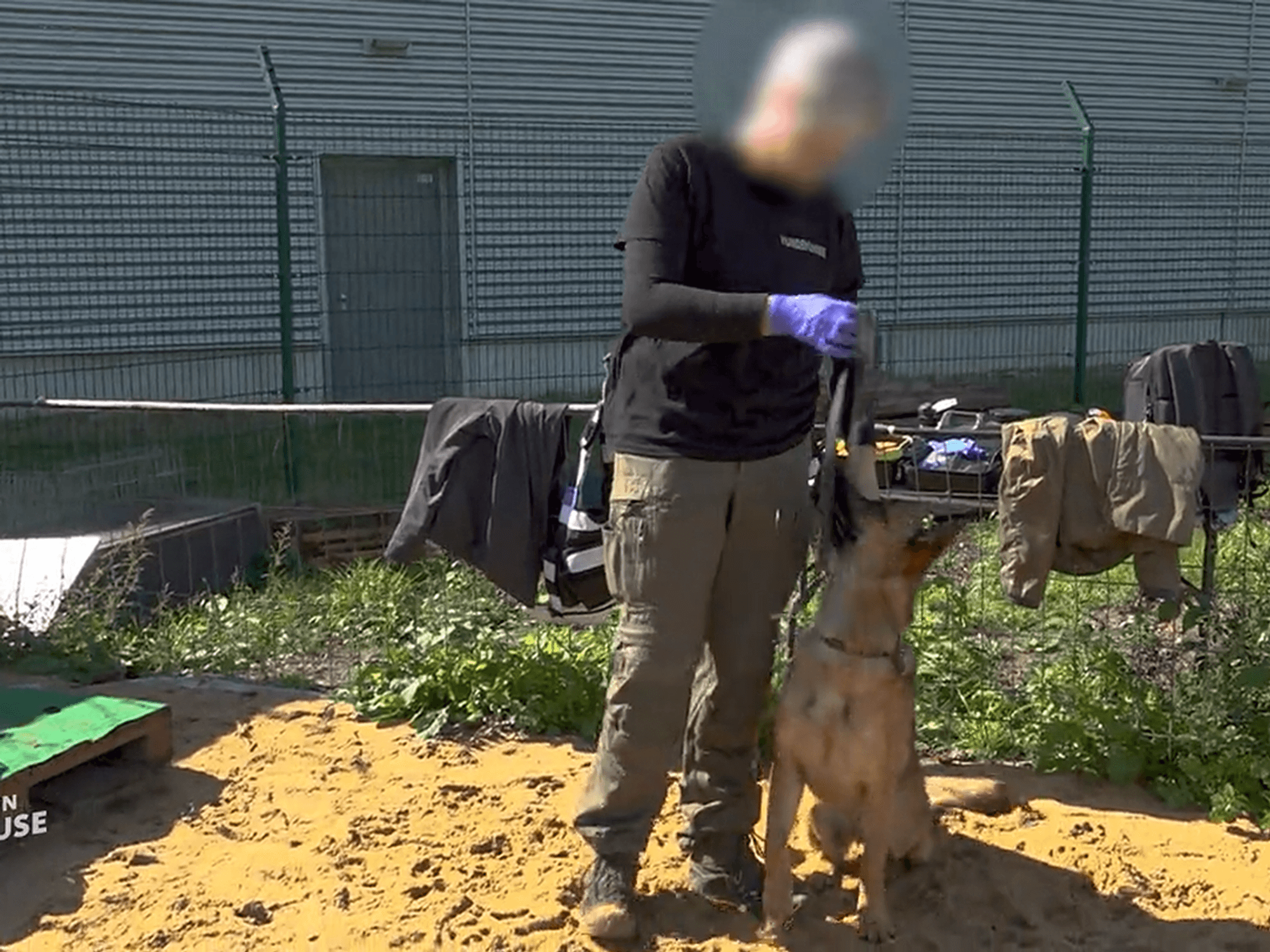 Hundeführerin Desiree und Ted werden im November bei „Tiere suchen ein Zuhause” vorgestellt.