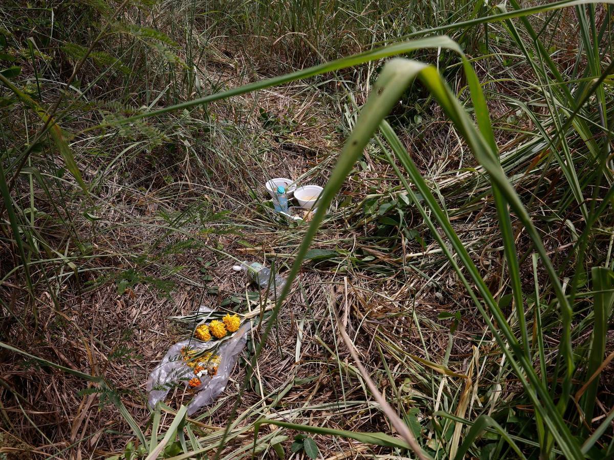 Blumen liegen am Fundort des Koffers.