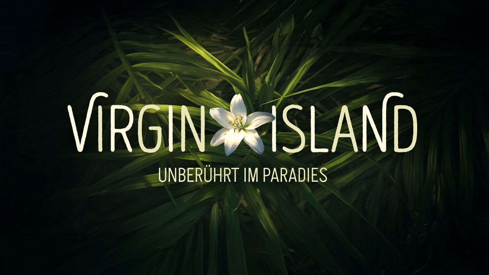 In dieser TV-Show stellen sich zehn Menschen ihrer bislang größten Herausforderung: Nähe zulassen.  (Bild: RTL Studios)