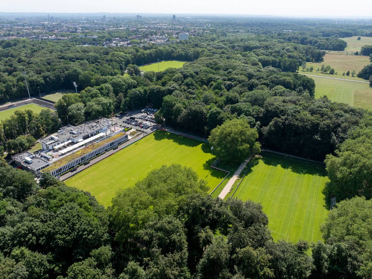 Luftaufnahme des Geißbockheims: Der Trainingsplatz 2 (vorne rechts) soll modernisiert werden. Neben dem Franz-Kremer-Stadion (links) entsteht das neue Leistungszentrum.