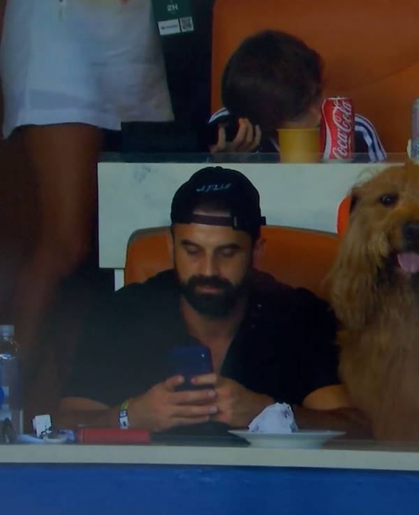 Hund Brodie sitzt mit Ohrenschützern auf der Tribüne.