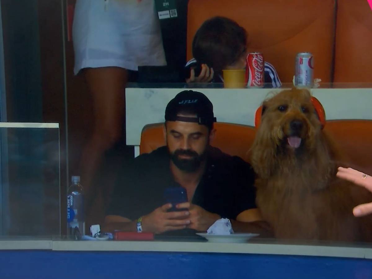 Hund Brodie sitzt mit Ohrenschützern auf der Tribüne.
