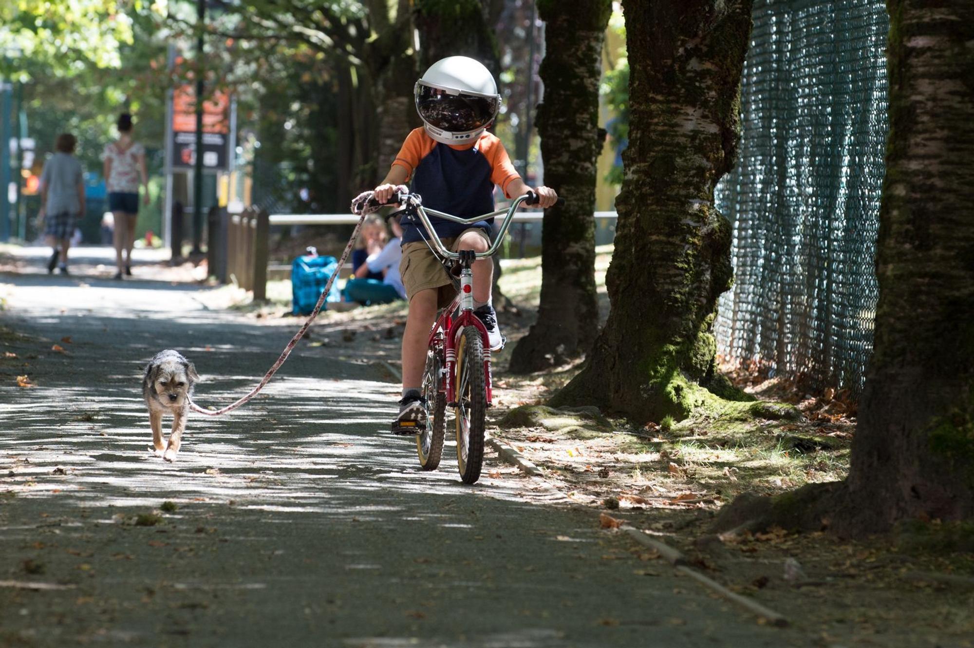 Mit seinem Hund Daisy und seinem Astronautenhelm entdeckt Auggie (Jacob Tremblay) die Welt. (Bild: SAT.1 / Studiocanal GmbH / Dale Robinette)