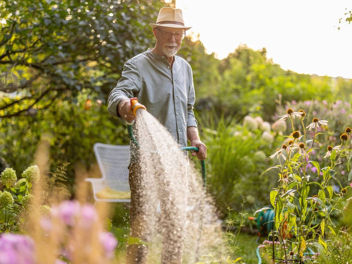 In einigen Landkreisen ist nicht nur die Entnahme von Wasser verboten, es herrschen darüber hinaus auch Bewässerungsverbote. (Bild: iStock/PIKSEL)