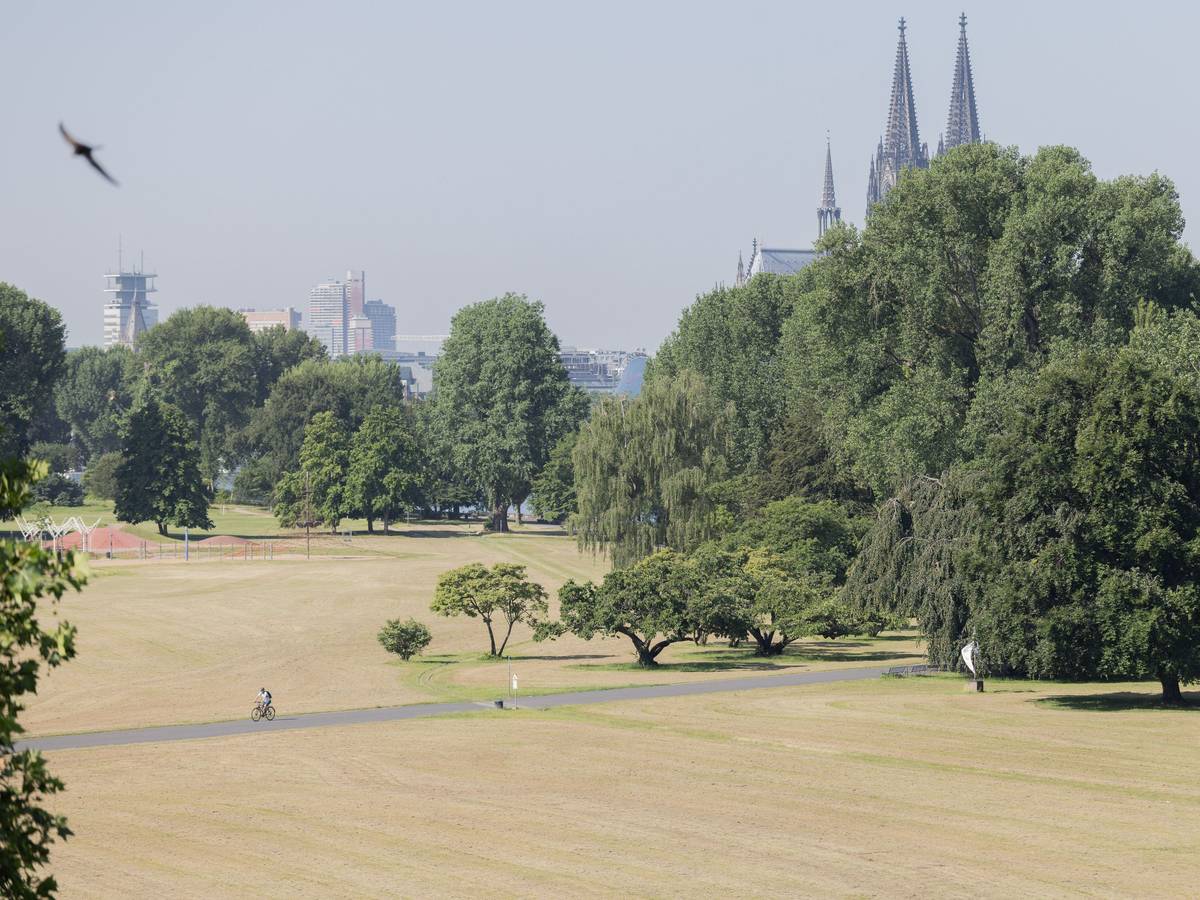In Köln hat extreme Hitze geherrscht (Bild vom 25. Juni). In der Innenstadt war es kaum auszuhalten.