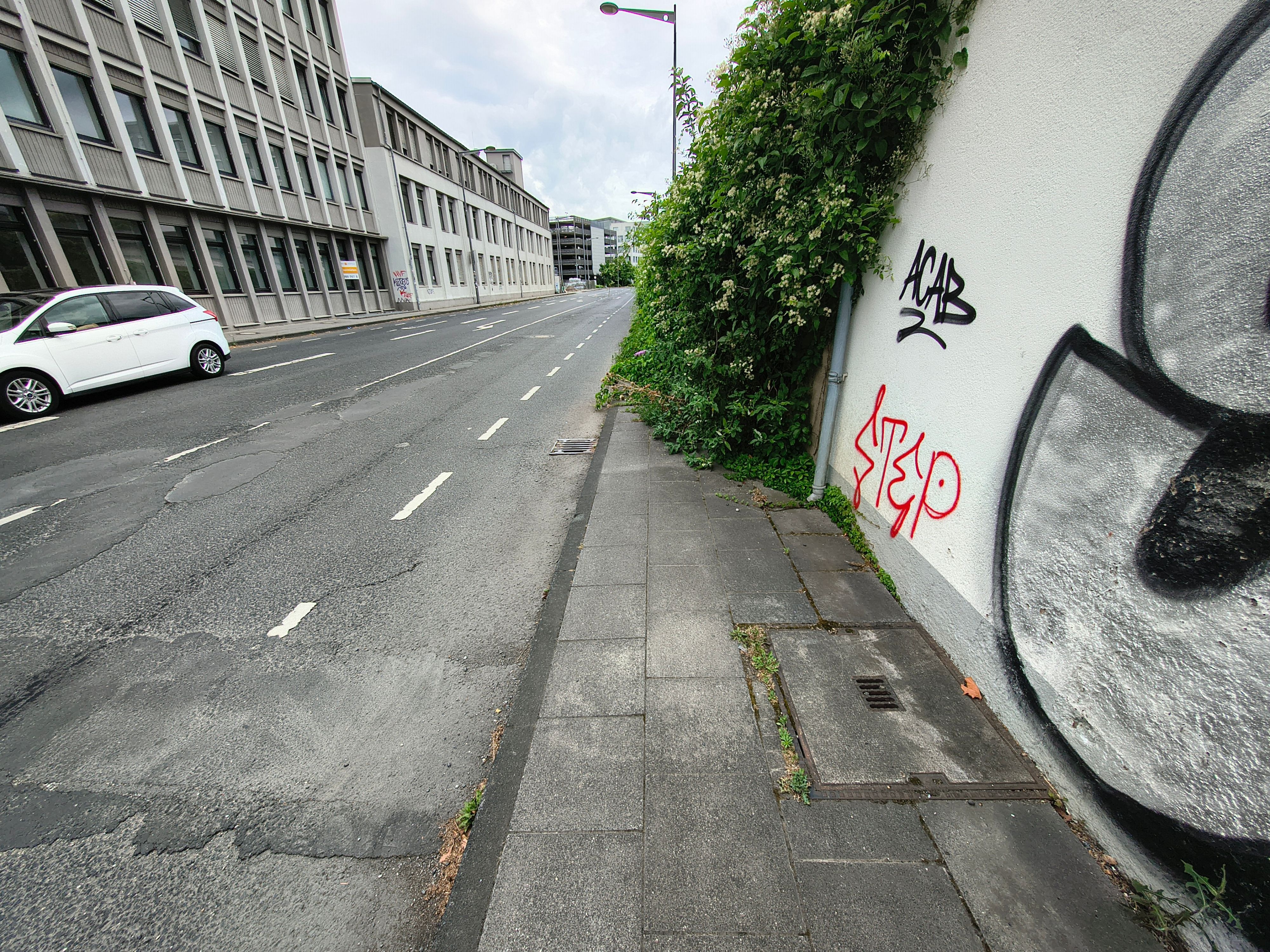 Dieser Bürgersteig auf der Josef-Lammerting-Allee in Köln-Braunsfeld ist komplett zugewuchert – Fußgänger kommen hier nicht weiter und müssen die Straßenseite wechseln.