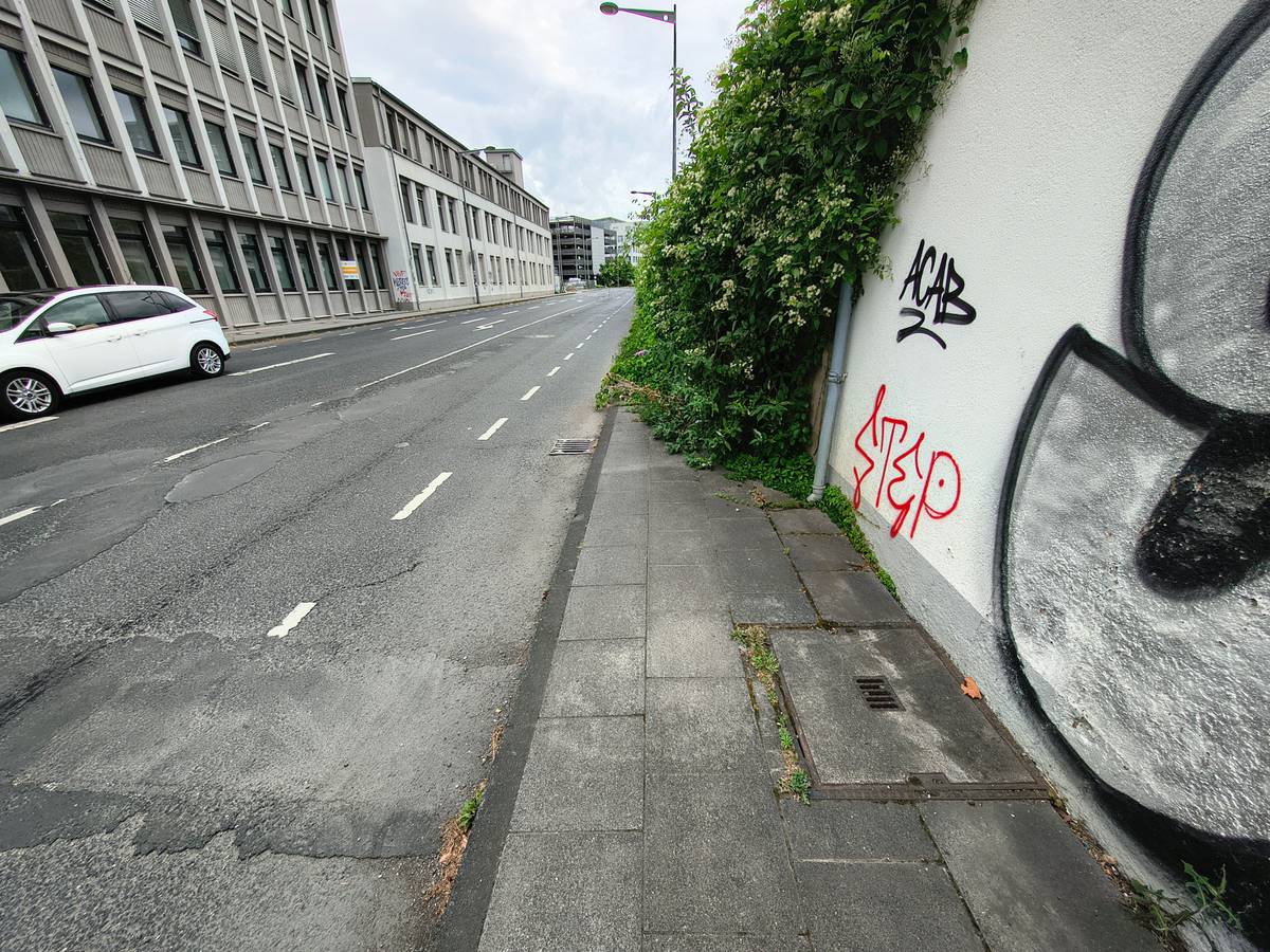 Dieser Bürgersteig auf der Josef-Lammerting-Allee in Köln-Braunsfeld ist komplett zugewuchert – Fußgänger kommen hier nicht weiter und müssen die Straßenseite wechseln.