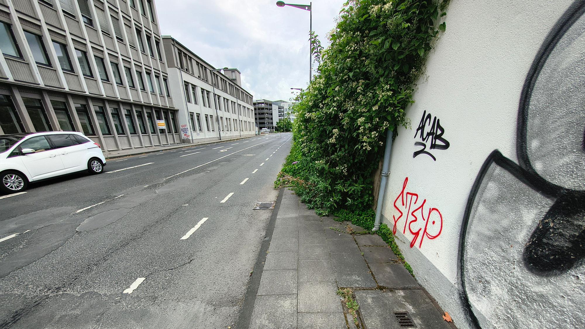 Dieser Bürgersteig auf der Josef-Lammerting-Allee in Köln-Braunsfeld ist komplett zugewuchert – Fußgänger kommen hier nicht weiter und müssen die Straßenseite wechseln.