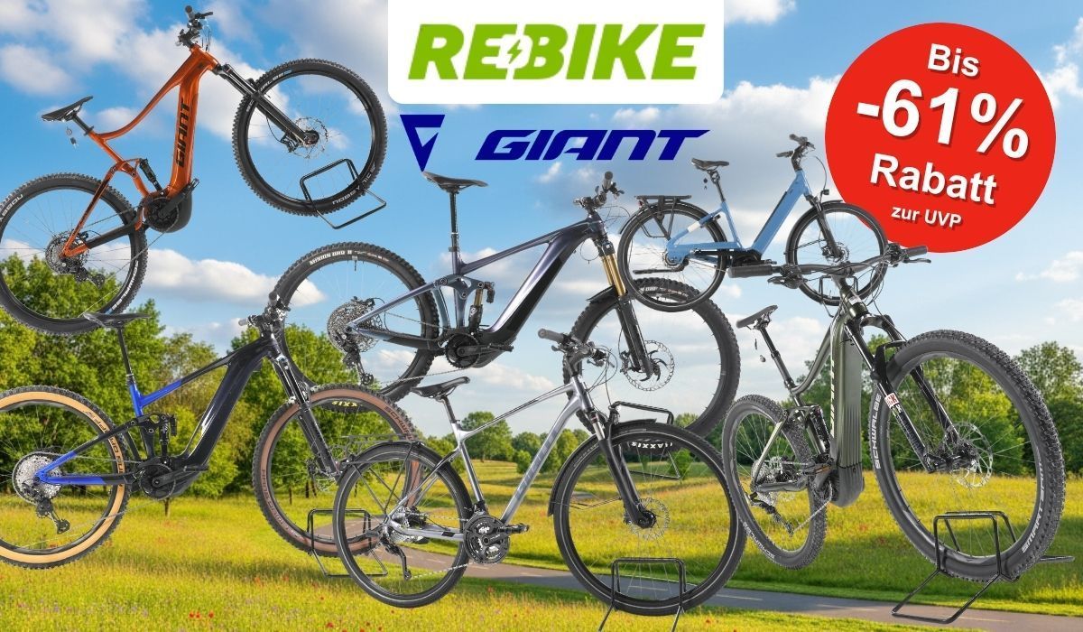 Giant E-Bikes verschiedener Kategorien – darunter E-MTBs, City- und Trekking-E-Bikes – vor einem sommerlichen Wald- und Wiesen-Hintergrund mit Radweg und Bäumen. Logos von Rebike und Giant.