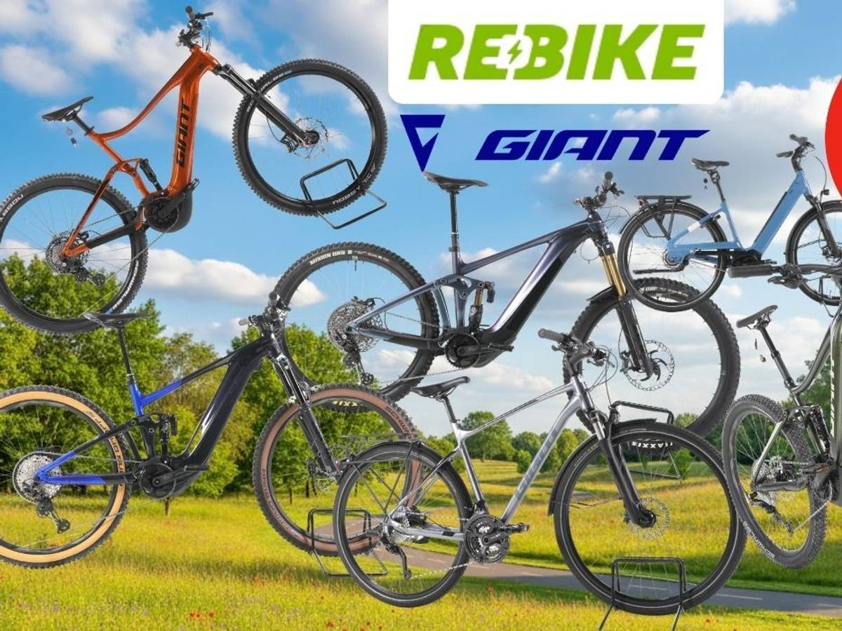 Giant E-Bikes verschiedener Kategorien – darunter E-MTBs, City- und Trekking-E-Bikes – vor einem sommerlichen Wald- und Wiesen-Hintergrund mit Radweg und Bäumen. Logos von Rebike und Giant.