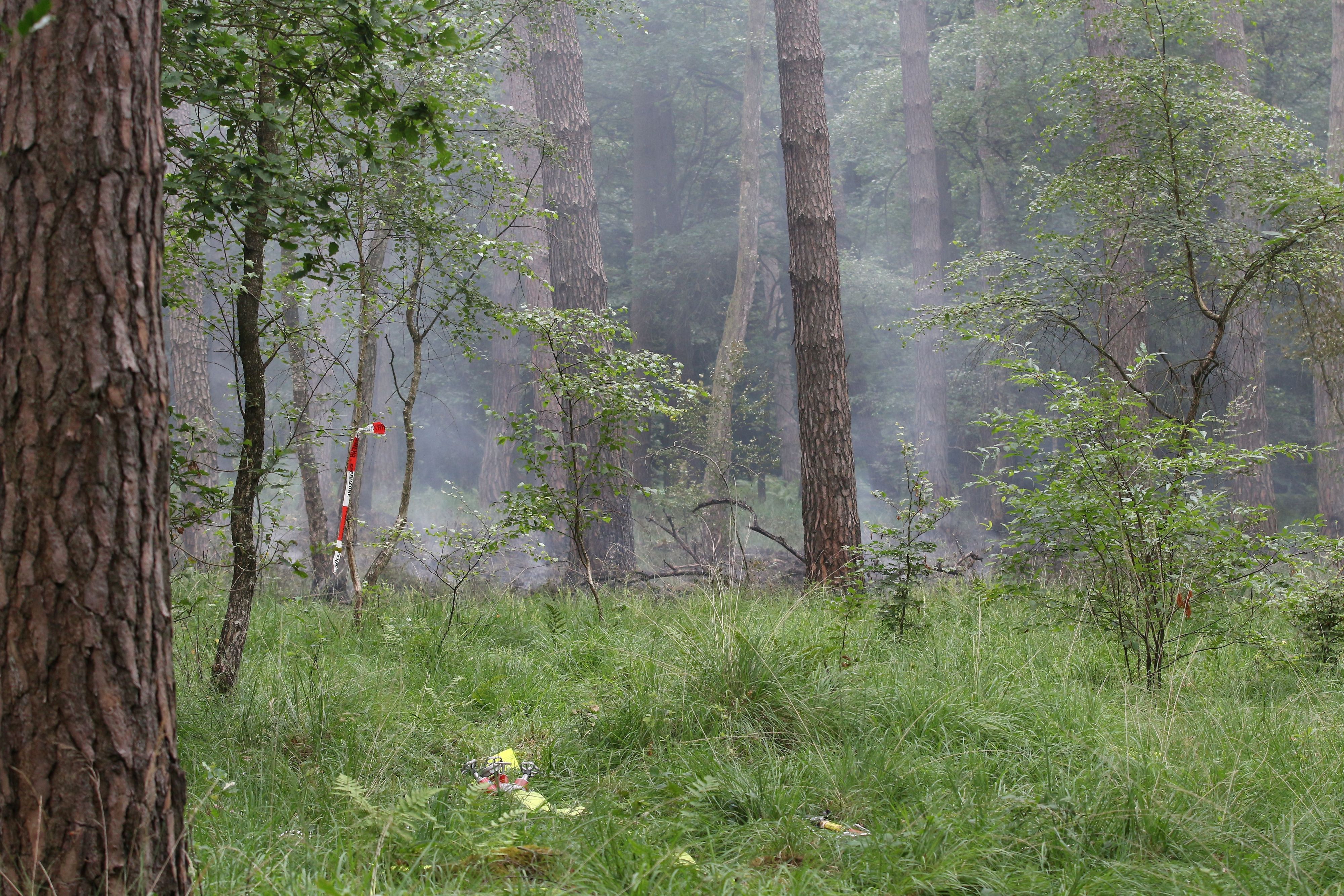 Rauchschwaden ziehen durch die Bäume in der Wahner Heide. Östlich von Köln kämpfte die Feuerwehr gegen einen Waldbrand an.